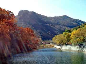 澳门二四六天天彩图库，都市小说完本